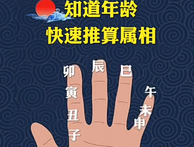 知道年龄快速推算属相