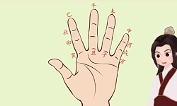 《掌上属相相冲》