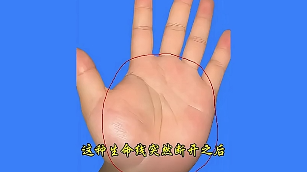 14一夜暴富的手相