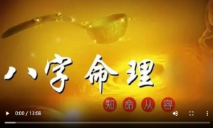 第11课 十神100集命运四柱教学